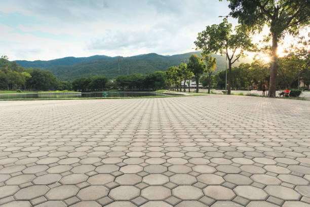 Best Residential Driveway Paver Services  in Syracuse, NE